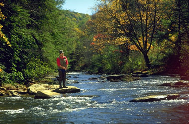 West Virginia