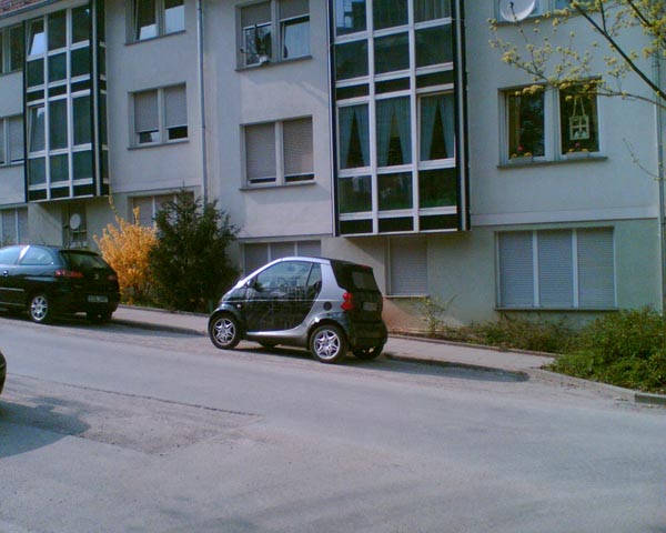 Smart-Kunstparker