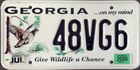 Georgia ...on my mind - Give Wildlife a Chance, PKW 2000