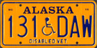 Disabled Veteran