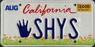 Kids License Plate, personalized, Passenger 2000
