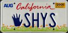 Kids License Plate, personalisiert, PKW 2000