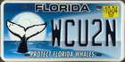 Protect Florida Whales, Passenger 2004