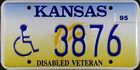 older issue, Disabled Veteran, Handicapped 1995