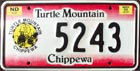 Turtle Mountain Chippewa (Indianer), PKW 1993