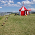 sonntägliche Falkenshow auf der Burg Hohenneuffen