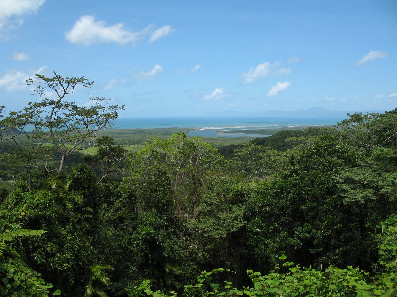 Cape Tribulation (Daintree National Park)