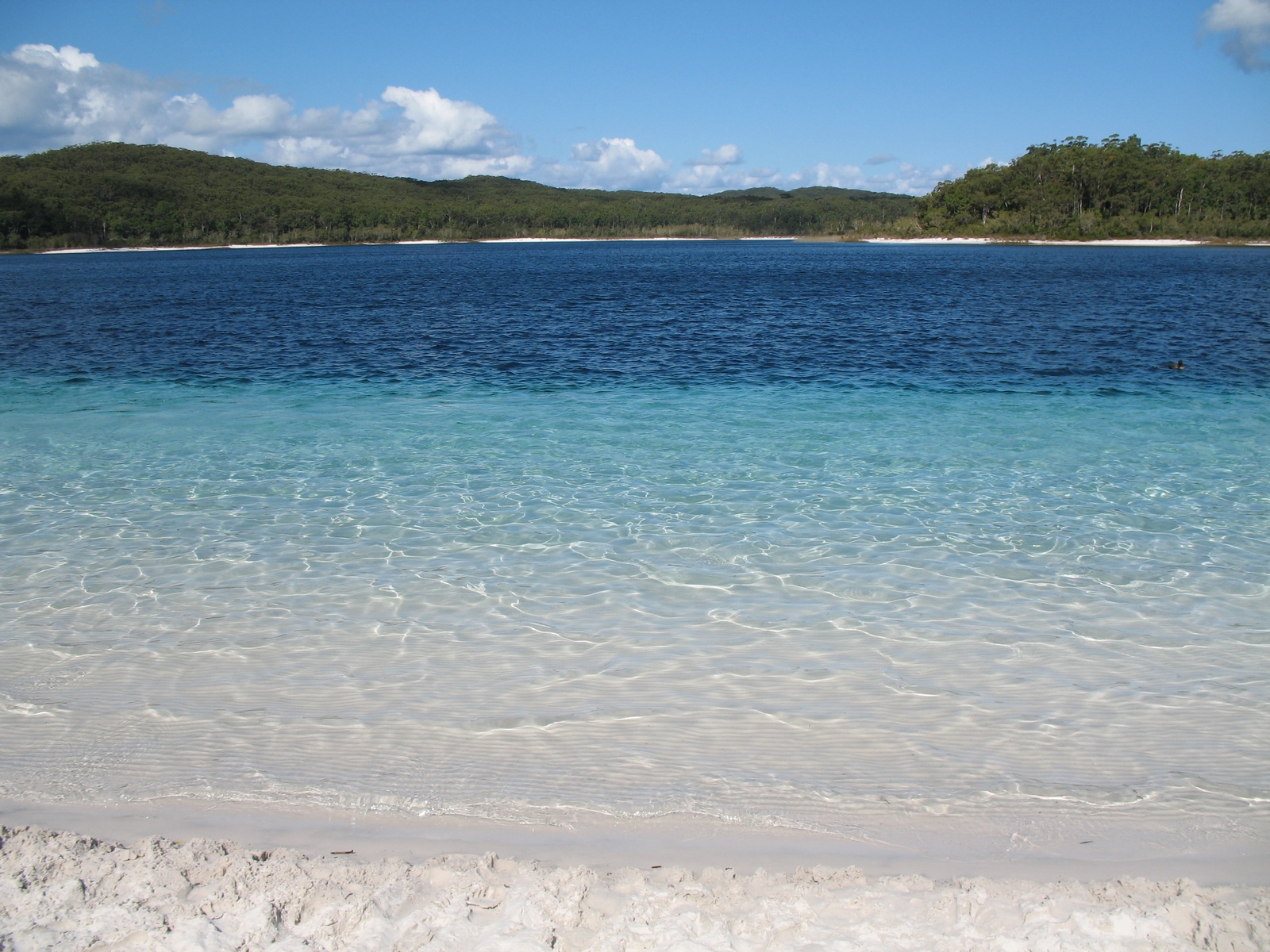 Fraser Island - Lake McKenzie