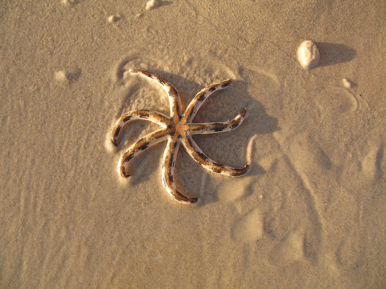 Great Keppel Island