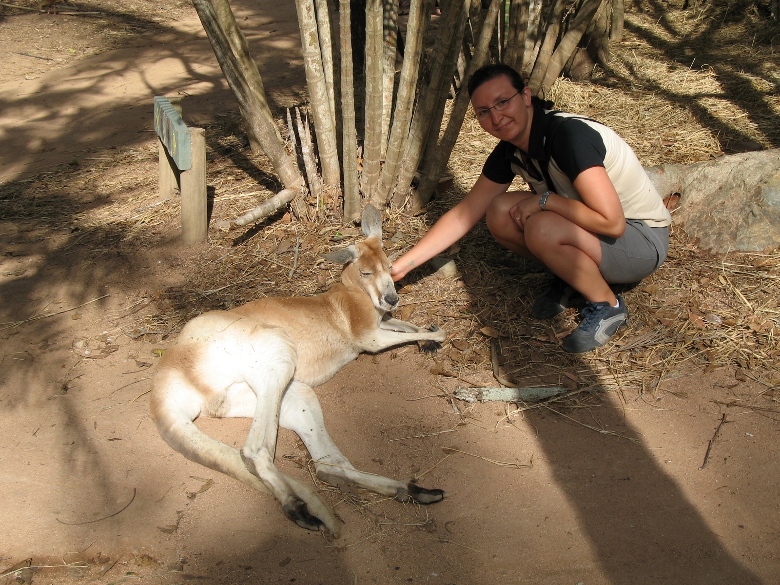 Billabong Sanctuary