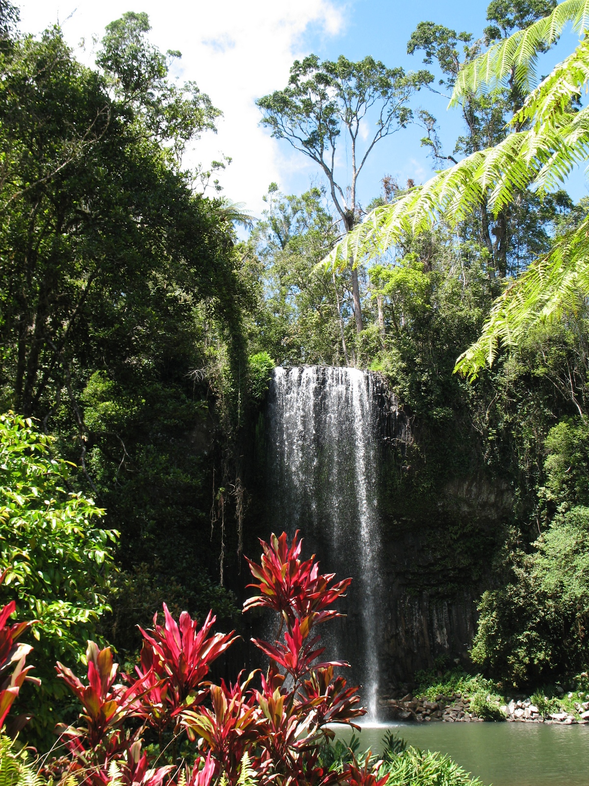 Millaa Millaa Falls