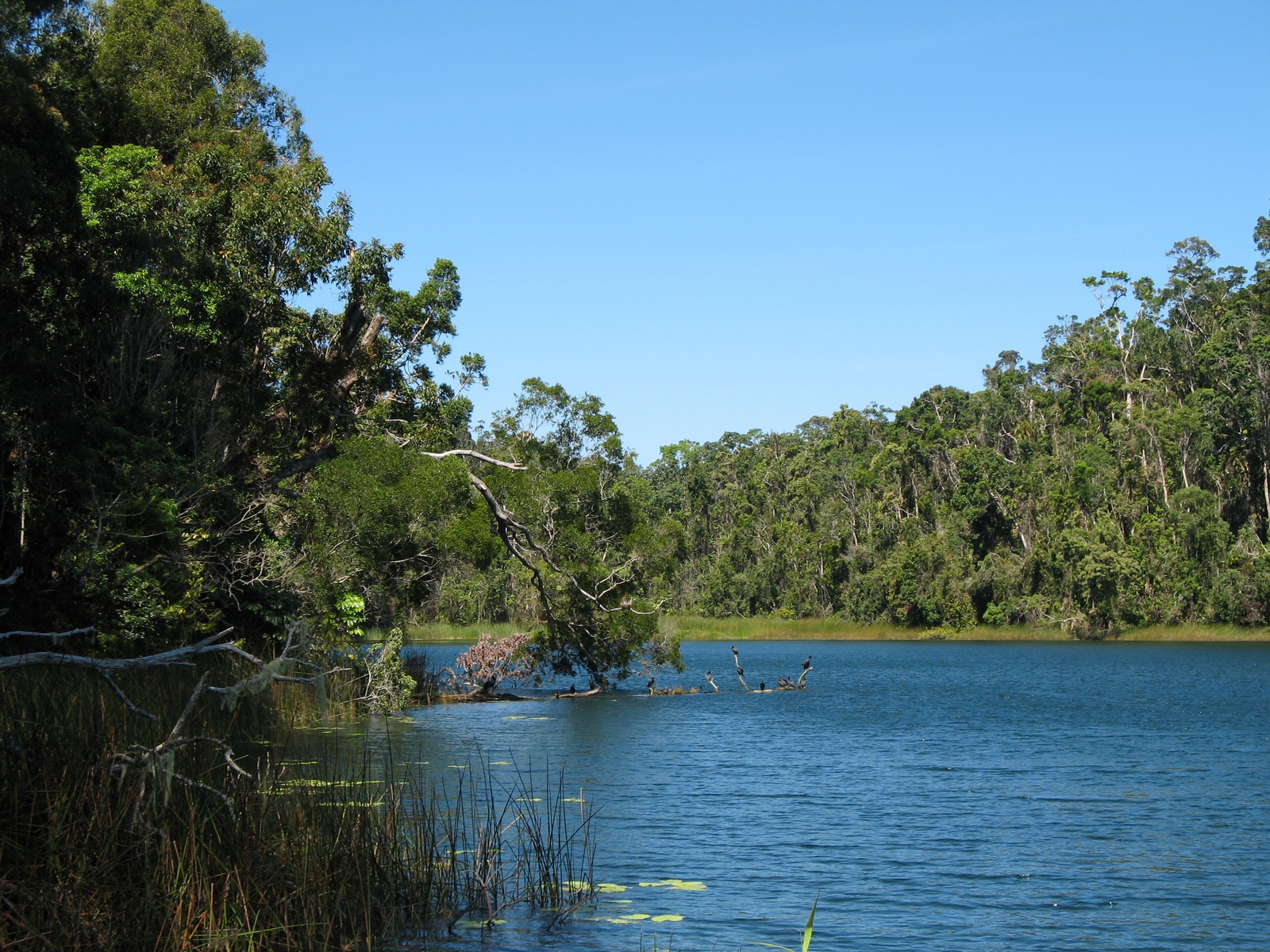 Lake Barrine (Crater Lakes National Park)