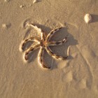 21September2006_63_Blog