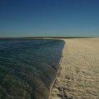 Shell Beach