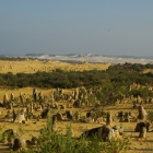 Pinnacles (Nambung National Park)