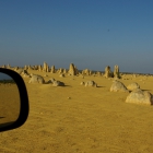 Pinnacles (Nambung National Park)