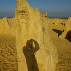 Pinnacles (Nambung National Park)