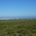 Grigson Lookout