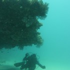 Tauchen Muiron Islands