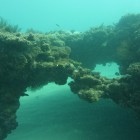Tauchen Muiron Islands