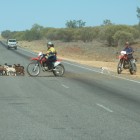 Die modernen Cowboys von heute mit Motocross Bikes