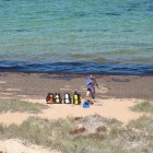 Tauchen am Eagle Bluff (Shark Bay)