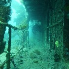 Tauchen an der HMAS Swan