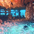 Tauchen an der HMAS Swan