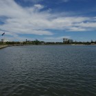 IMGP0249