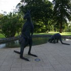 IMGP0319