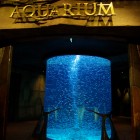 Aquarium im Hotel Atlantis Jumeirah (Palmeninsel "The Palm, Jumeirah")
