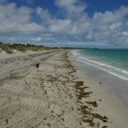 Strand von Coogee Beach