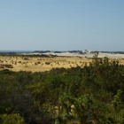 Aussichtspunkt auf dem Weg durch die Pinnacles