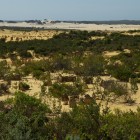 Aussichtspunkt auf dem Weg durch die Pinnacles