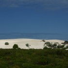 Sanddüne am Indian Ocean Drive in der Nähe vom Nambung National Park