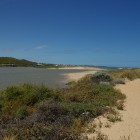 am Strand von Dongara