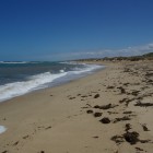 am Strand von Dongara