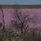 Hutt Lagoon