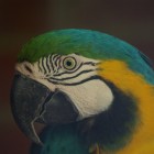 IMGP7759
