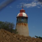 IMGP7875