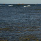 IMGP7916