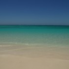 IMGP8011