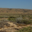 IMGP8077