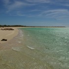 IMGP8088