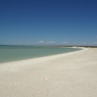 IMGP8532
