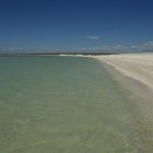 IMGP8548