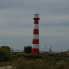 IMGP8739