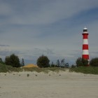 IMGP8742