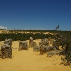 IMGP8947