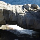 IMGP9618